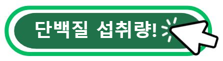 단백질 섭취량!