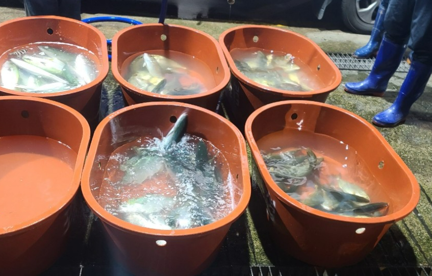 생방송 오늘엔 종로사계절 떡국 국수&amp;#44; 포항 활어 위판장&amp;#44; 2026 한우 할인 페스타 행사 