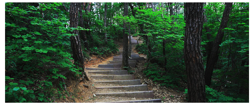 칠갑산 등산 코스 추천, 지도, 주차장 등 3분 정리