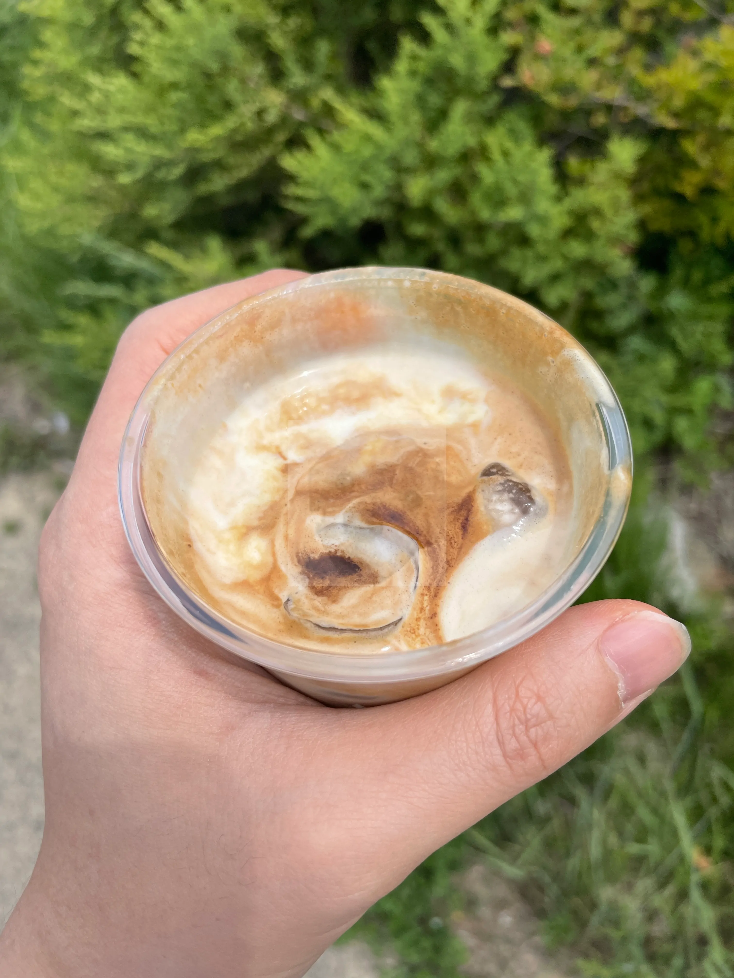 초당옥수수 커피 간판 앞 사진