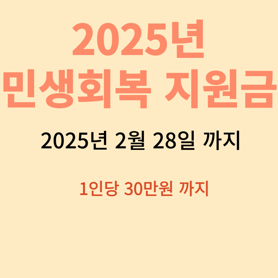 민생회복 지원금