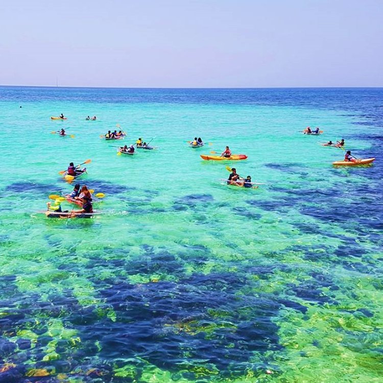 제주 서귀포 – 투명 카약 & 패들보드