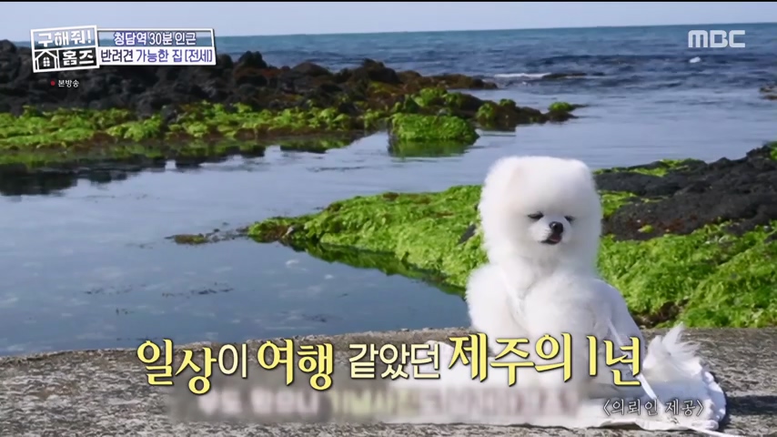 구해줘홈즈 불암산 더 뷰이즈 동물병원 인접 남양주 별내 전세 매매 매물 가격 및 구조 인테리어 리모델링 최종선택 더보이즈 영훈 현재 소개