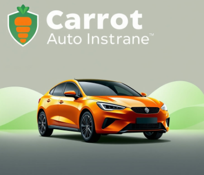 캐롯자동차보험 그림