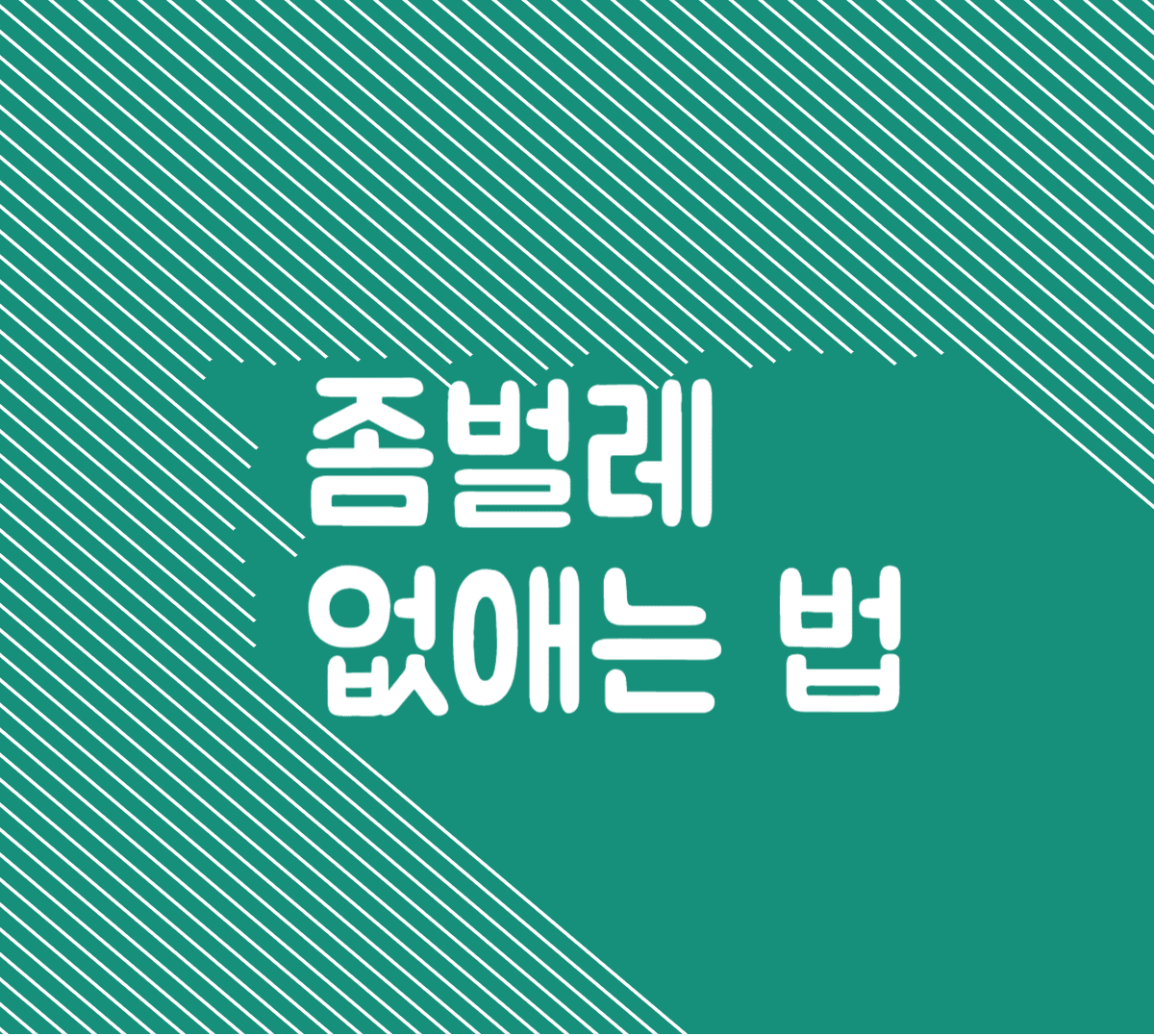 좀벌레 유충 없애는 법 생기는이유 퇴치약 트랩