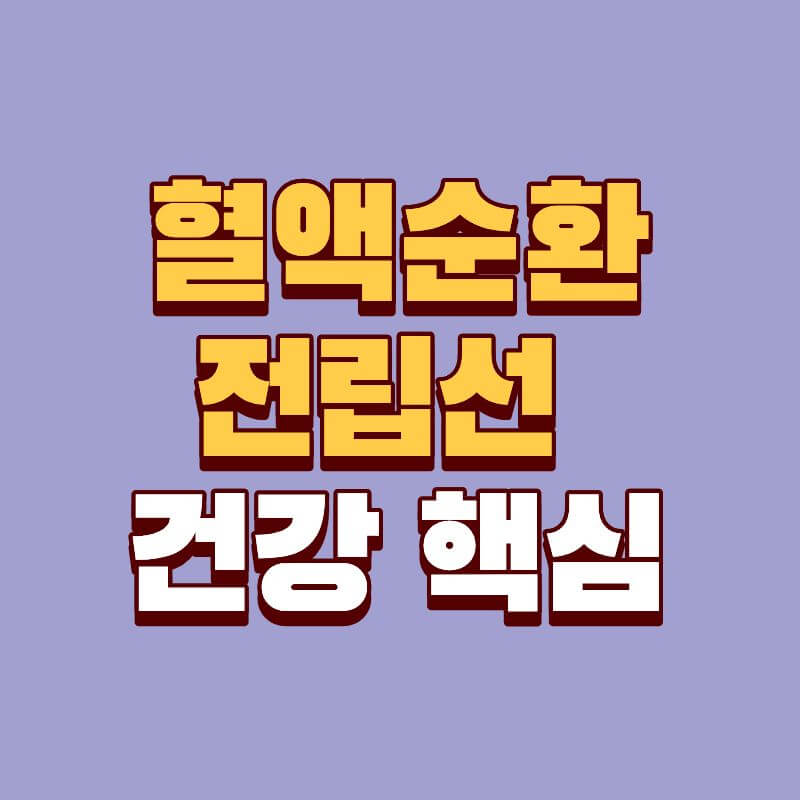 혈액순환&middot;전립선 건강 핵심