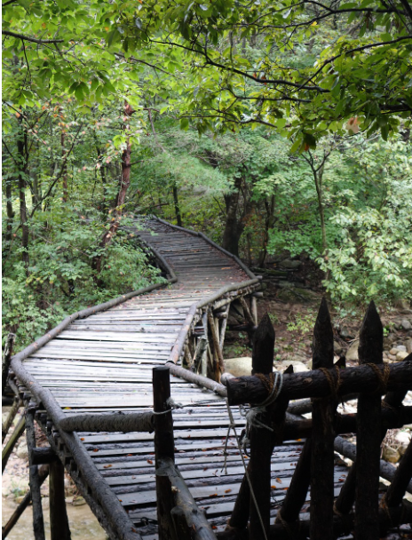조용한 감성 여행: 소규모 도시에서 발견한 사진 명소 5곳