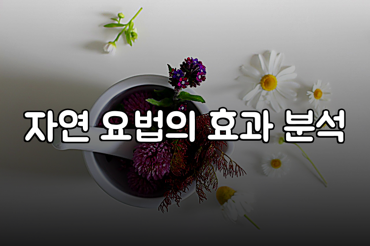 자연 요법의 효과 분석