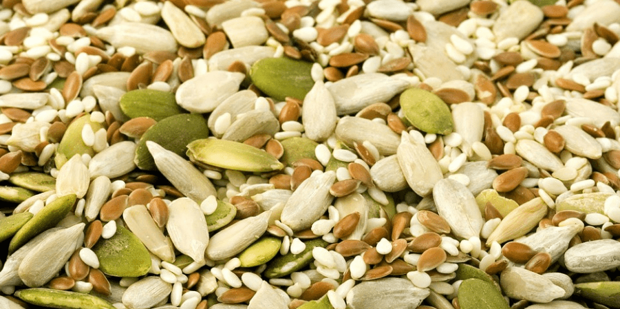 견과류 여러가지 씨앗 종휴