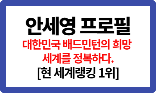안세영 금메달, 슈퍼 그랜드 슬램 달성[파리올림픽 결승전 영상]