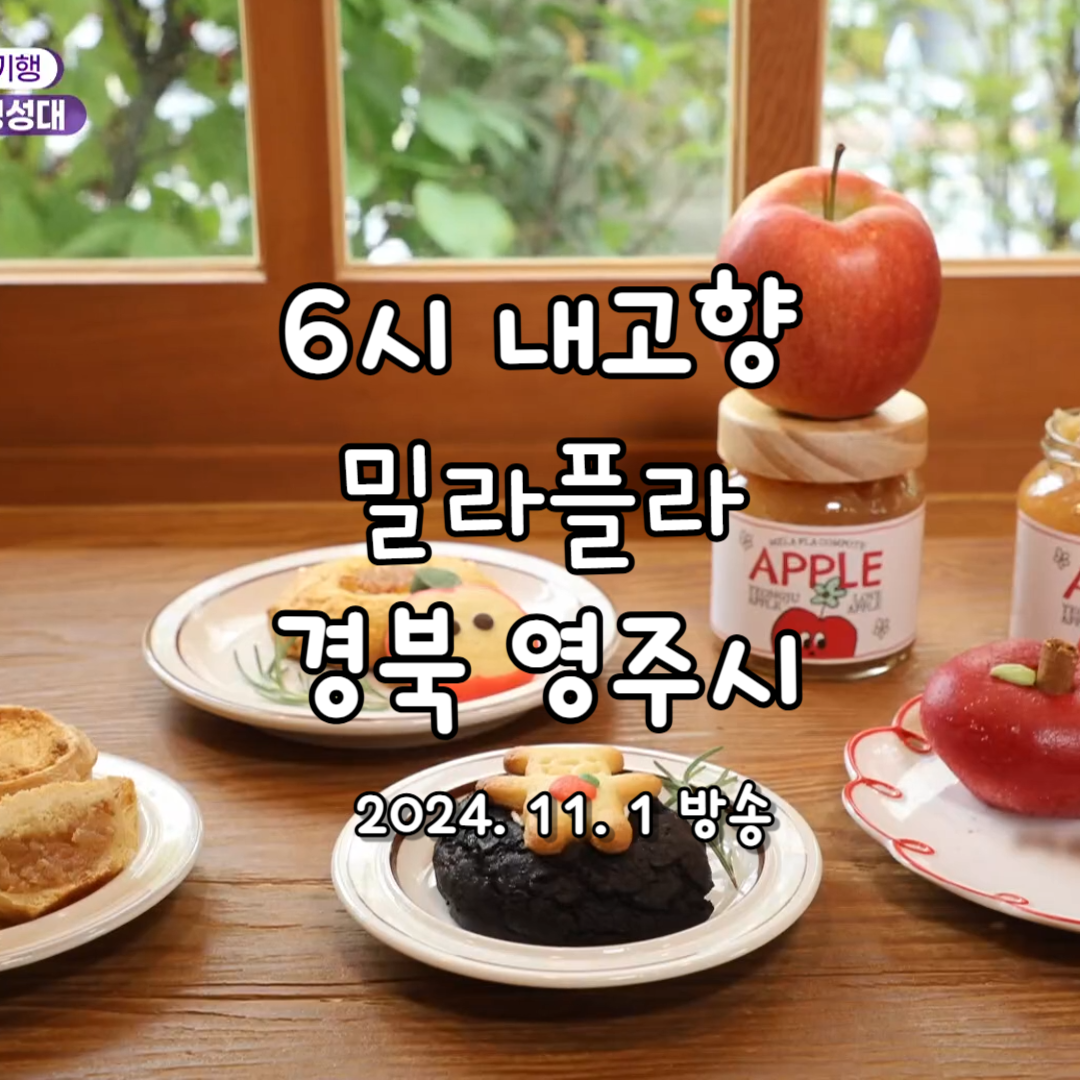 6시 내고향 추천 밀라플라