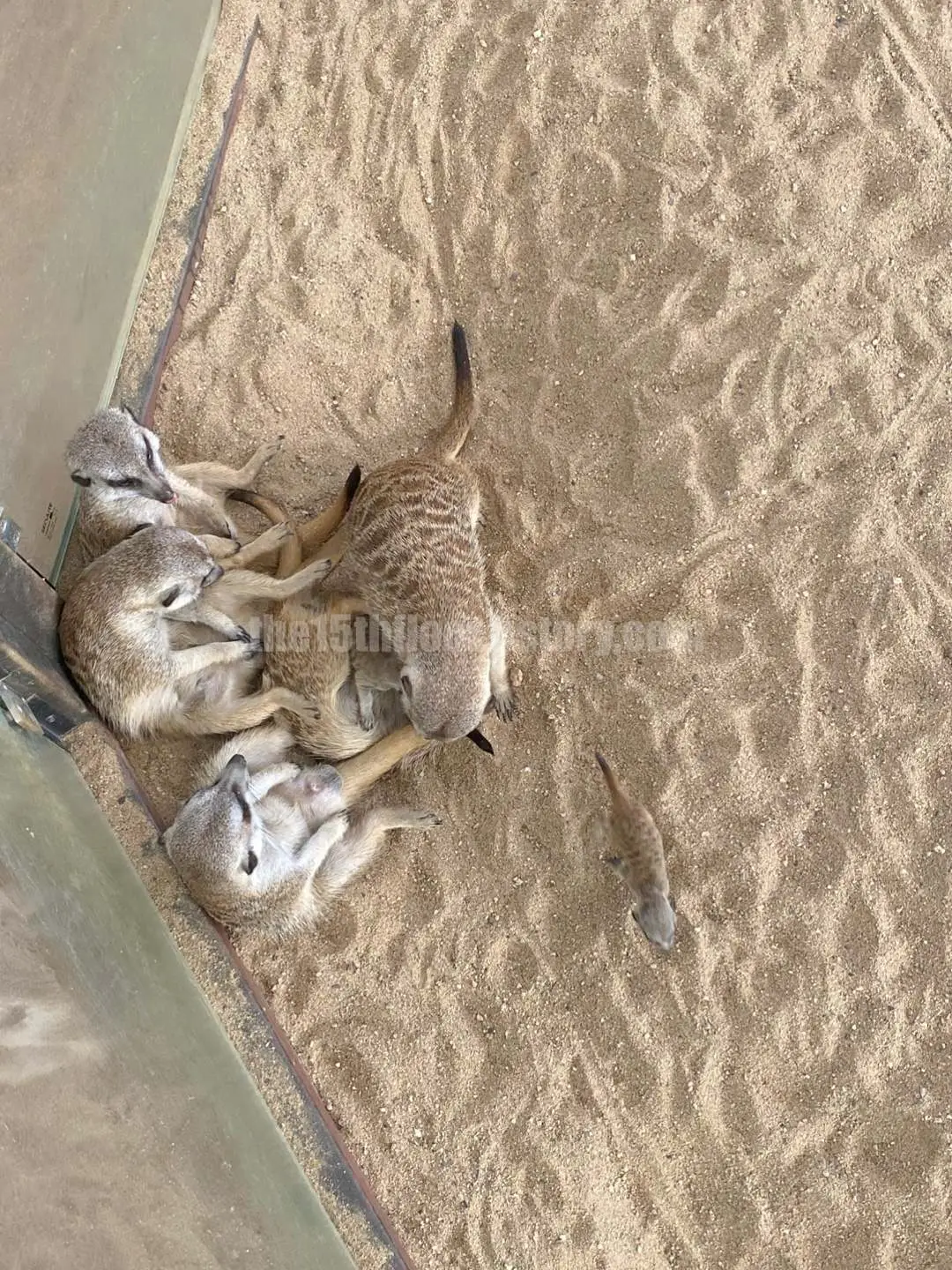 경남 의령 &amp;#39;의령 곤충생태학습관&amp;#39; (1층 &amp;#39;사막관&amp;#39;&amp;#44; &amp;#39;열대관&amp;#39;)