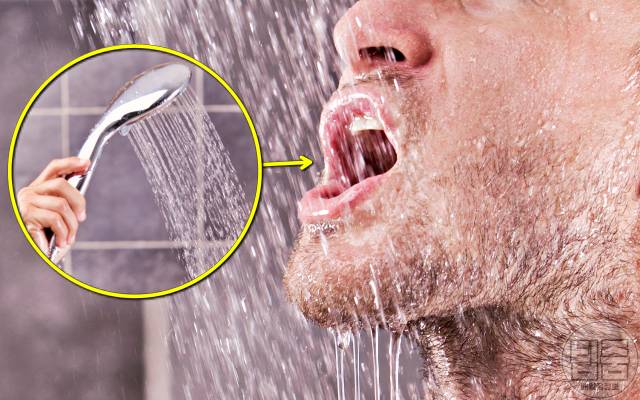 샤워기 폐렴,비결핵항상균