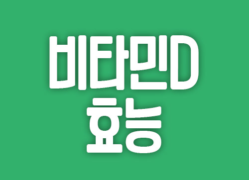 비타민D 효능