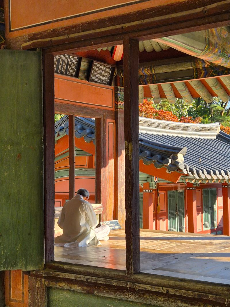 Dosanseowon Confucian Academy person studying, 도산서원에서 공부하는 사람
