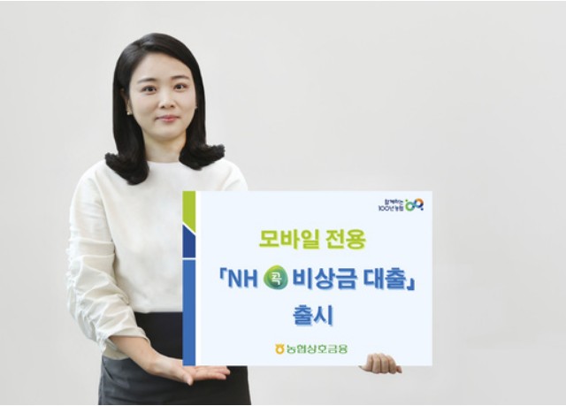 NH 콕 비상금대출