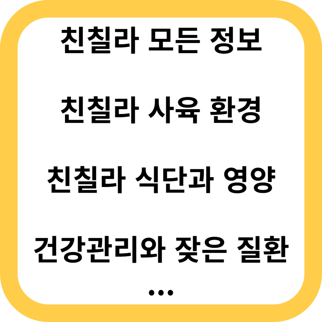 친칠라