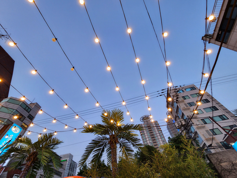 하늘에-가득한-조명