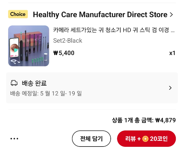 귀파개 내시경