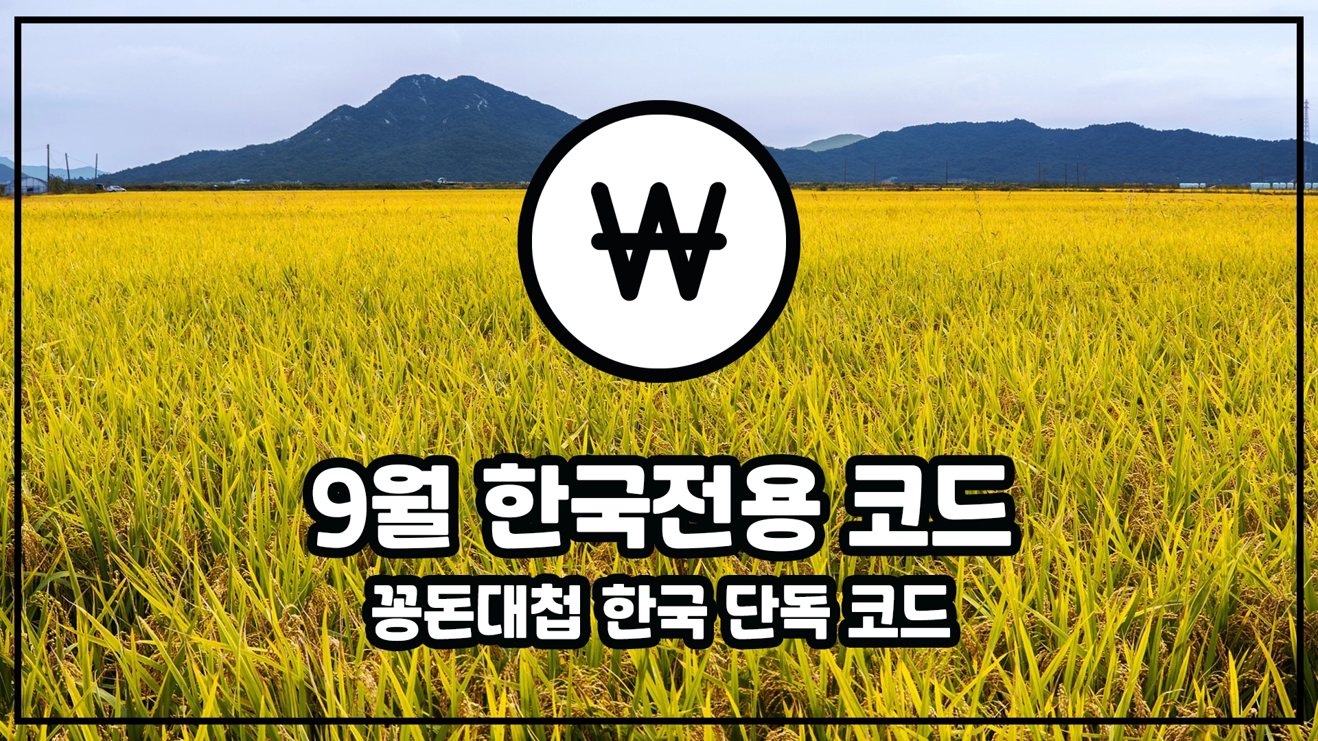 알리9월한국코드