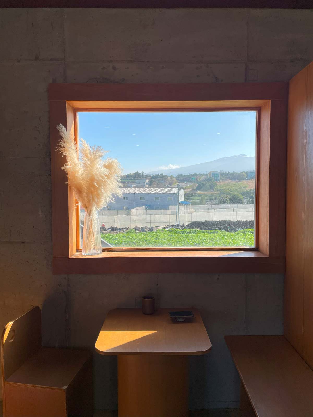 제주-혼자-여행-추천-카페-베어파인