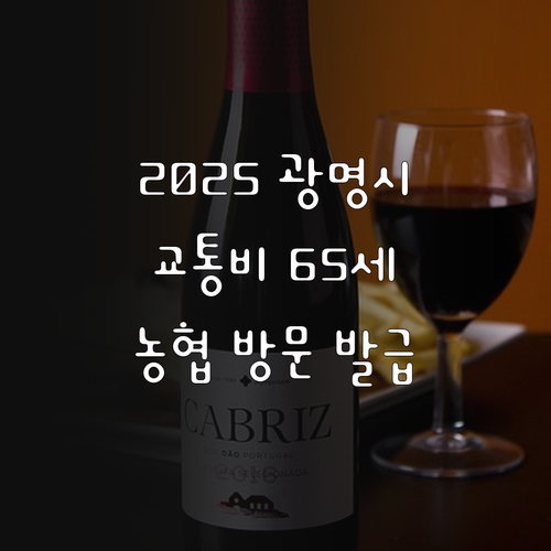 2025 광명시 대중교통비 65세 이..