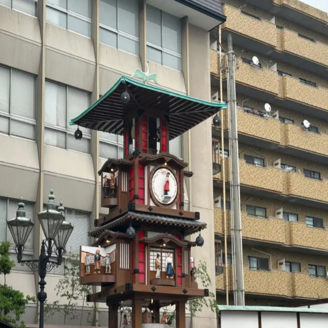 일본 마쓰야마 여행 관련 사진