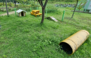 반려견과 함께하는 전국휴게소