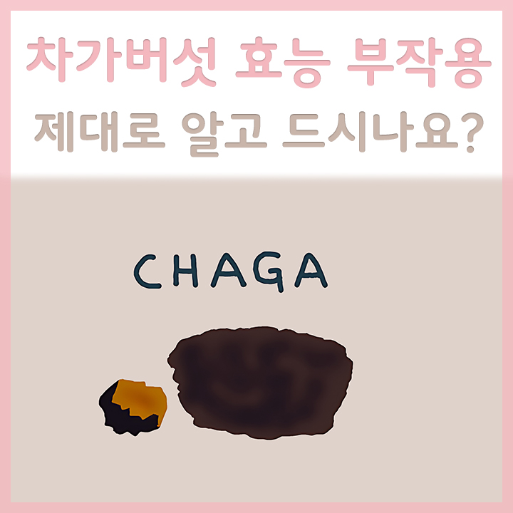 차가버섯