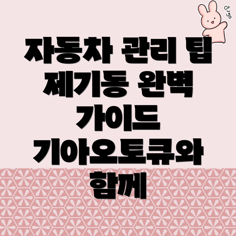 기아오토큐 예약