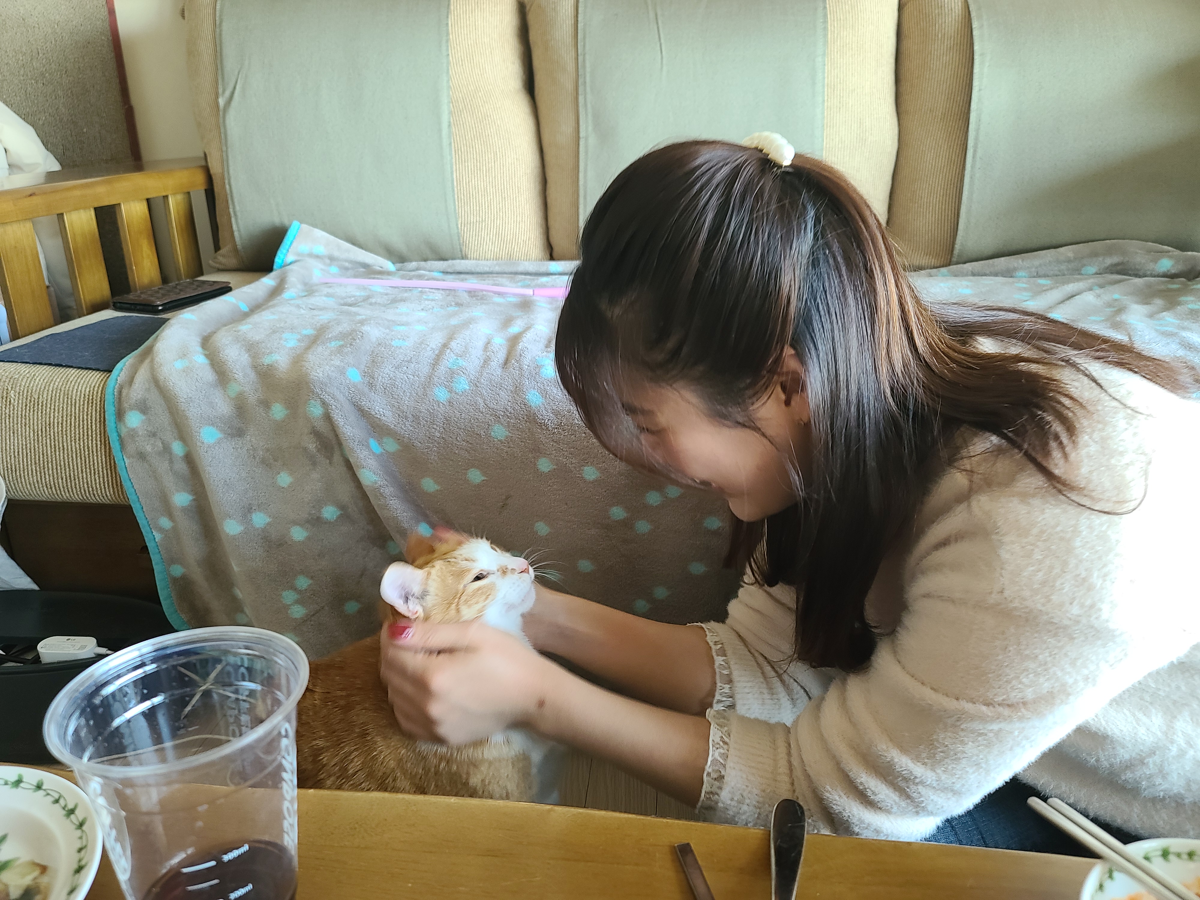 사실...호야랑 막둥이는 접대냥이었다!(feat.원조 접대냥 루나와 재밌는포즈 루디)