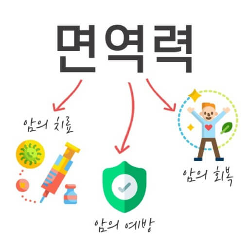 면역의 힘