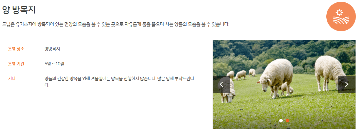 대관령 삼양목장