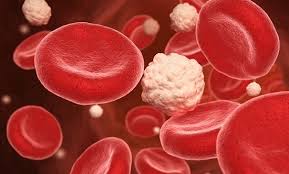 혈소판수치가 낮으면 일어나는 증상