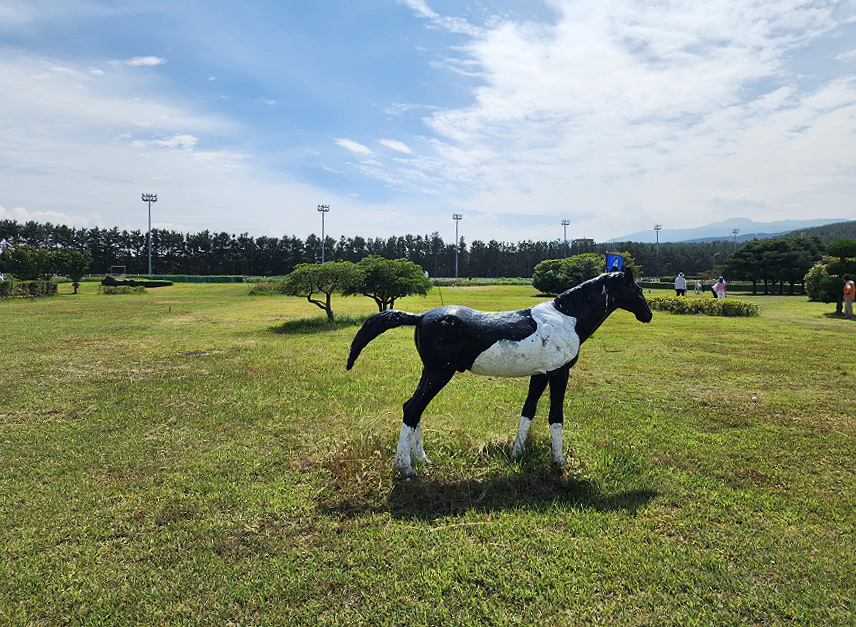 제주도 애월읍 렛츠런파크 파크골프장 소개 (렛츠런파크 제주말 테마파크 골프장)
