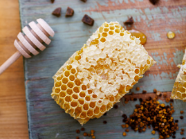 프로폴리스 효능