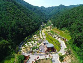 자연휴양림 예약