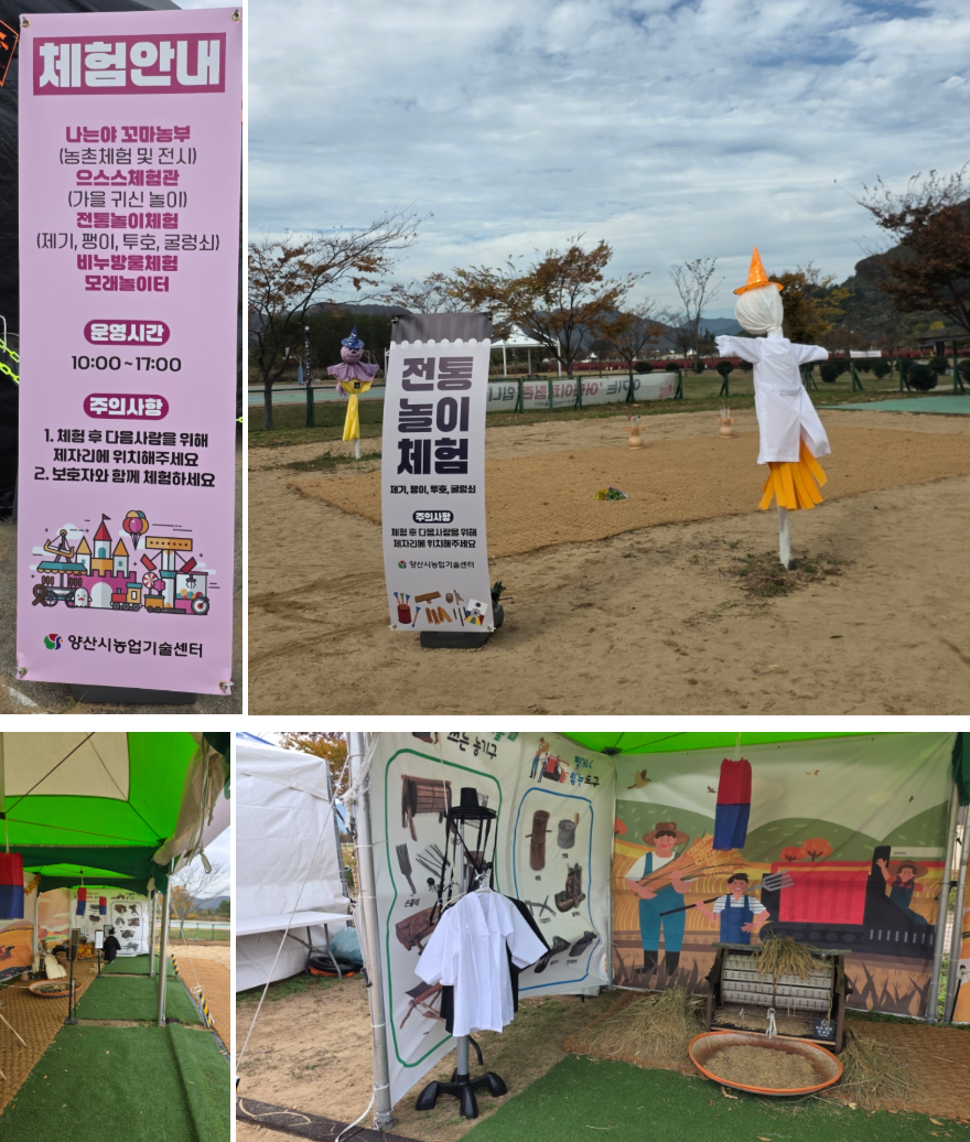 양산 아이와 가볼 만한 곳 : 황산공원 국화축제(11월) & 불빛정원(1월) 방문 후기