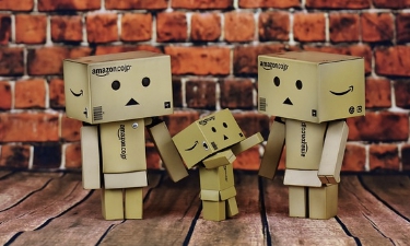 피한정후견인 뜻