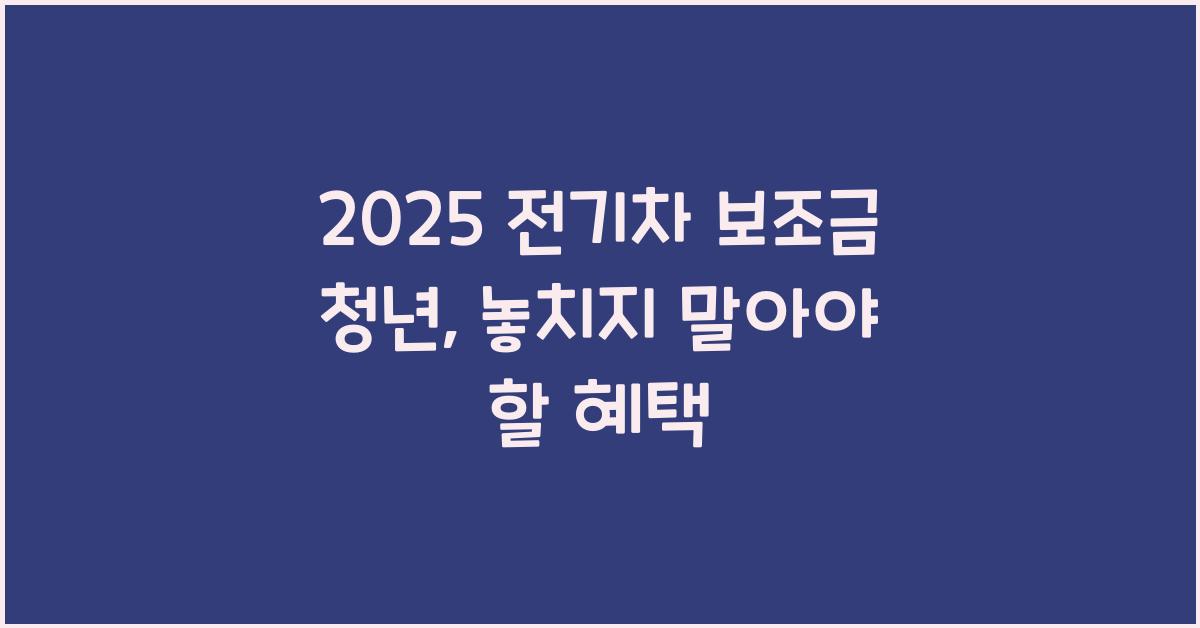2025 전기차 보조금 청년