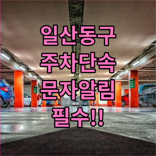 일산동구 방문 운전자 필수 주정차 단..