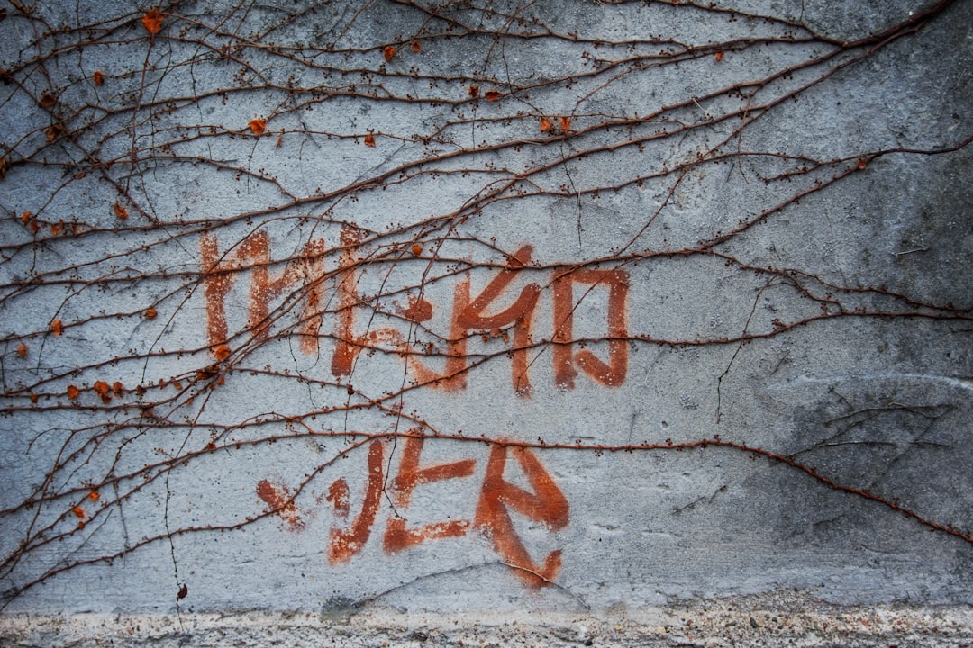 트럼프코인: 2025년 암호화폐 시장의 새로운 패러다임 관련 이미지 1