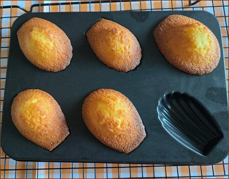 마들렌이 구워진 모습의 이미지1