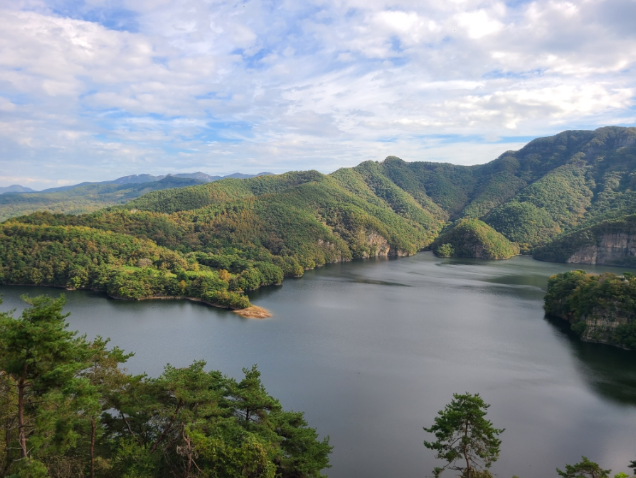 화순 동네별 분위기 분석— 신기리 · 하니움 · 화순읍 중심 생활권을 현실적으로 정리한 리얼 레포트
