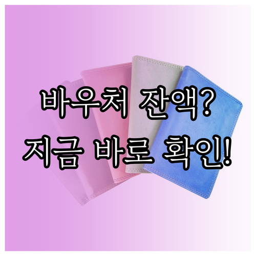 소상공인 경영안정 바우처 카드 잔액 ..