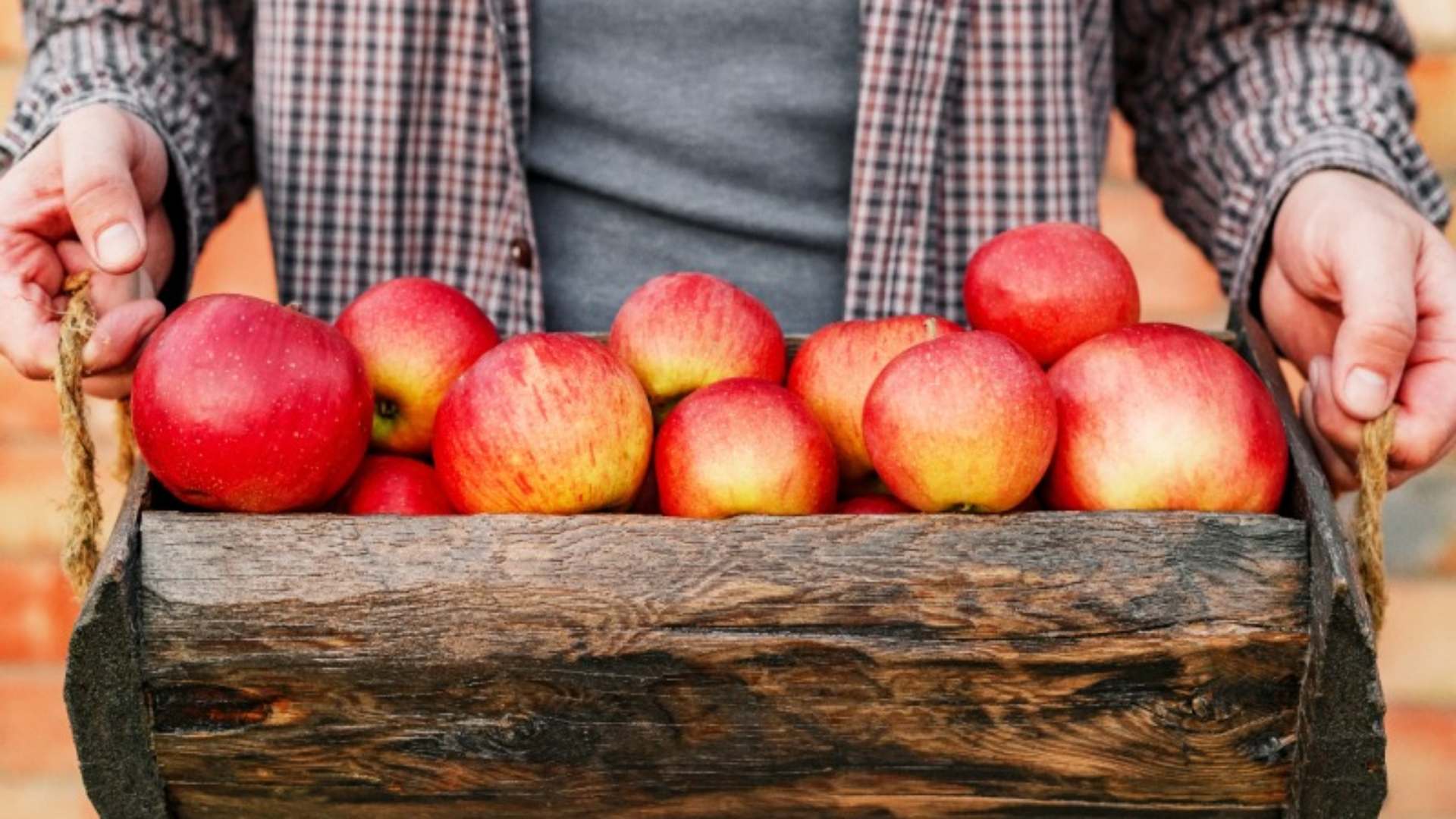 공익직불금 신청 방법 (신청자격&amp;#44; 지급시기)