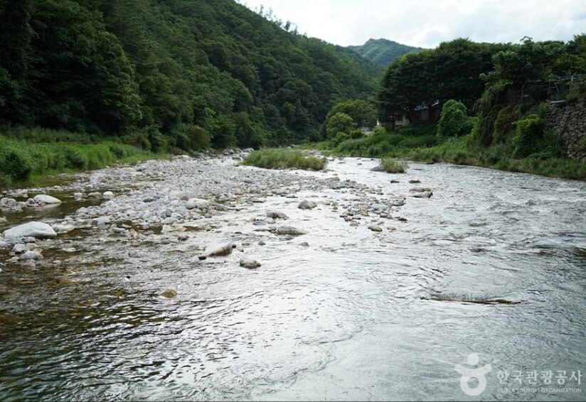 영월 가볼만한곳 베스트 10
