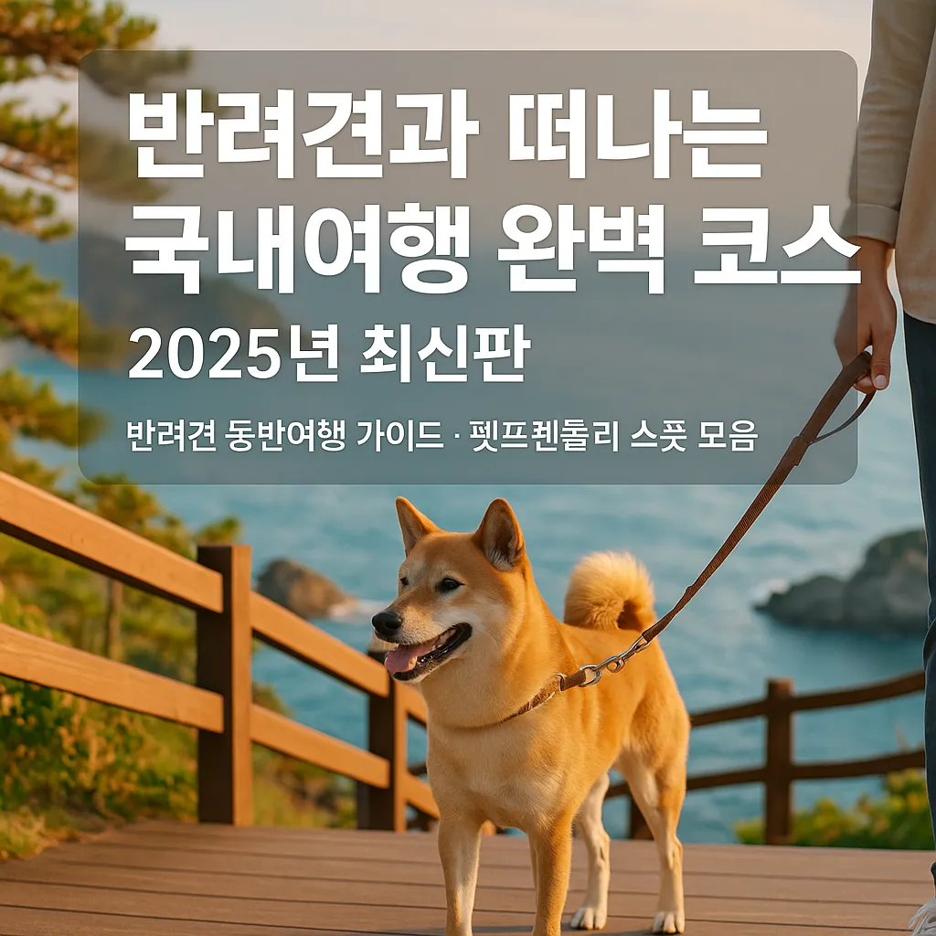 반려견과 떠나는 국내여행 완벽 코스 2025년 최신판