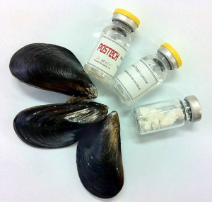 홍합발 의료용 접착제