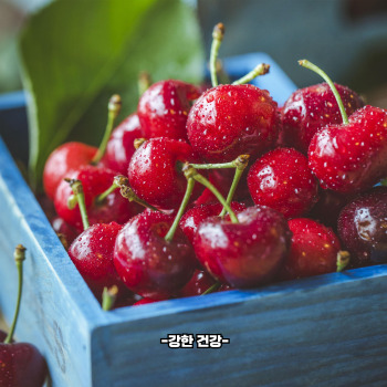 통풍에 좋은 음식